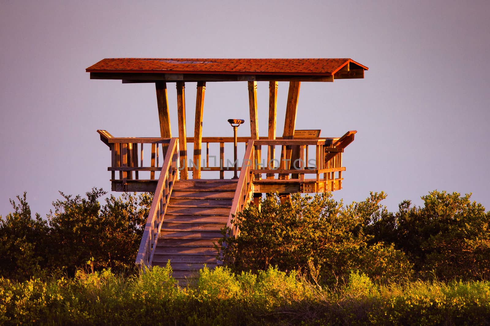 Watchtower by CelsoDiniz