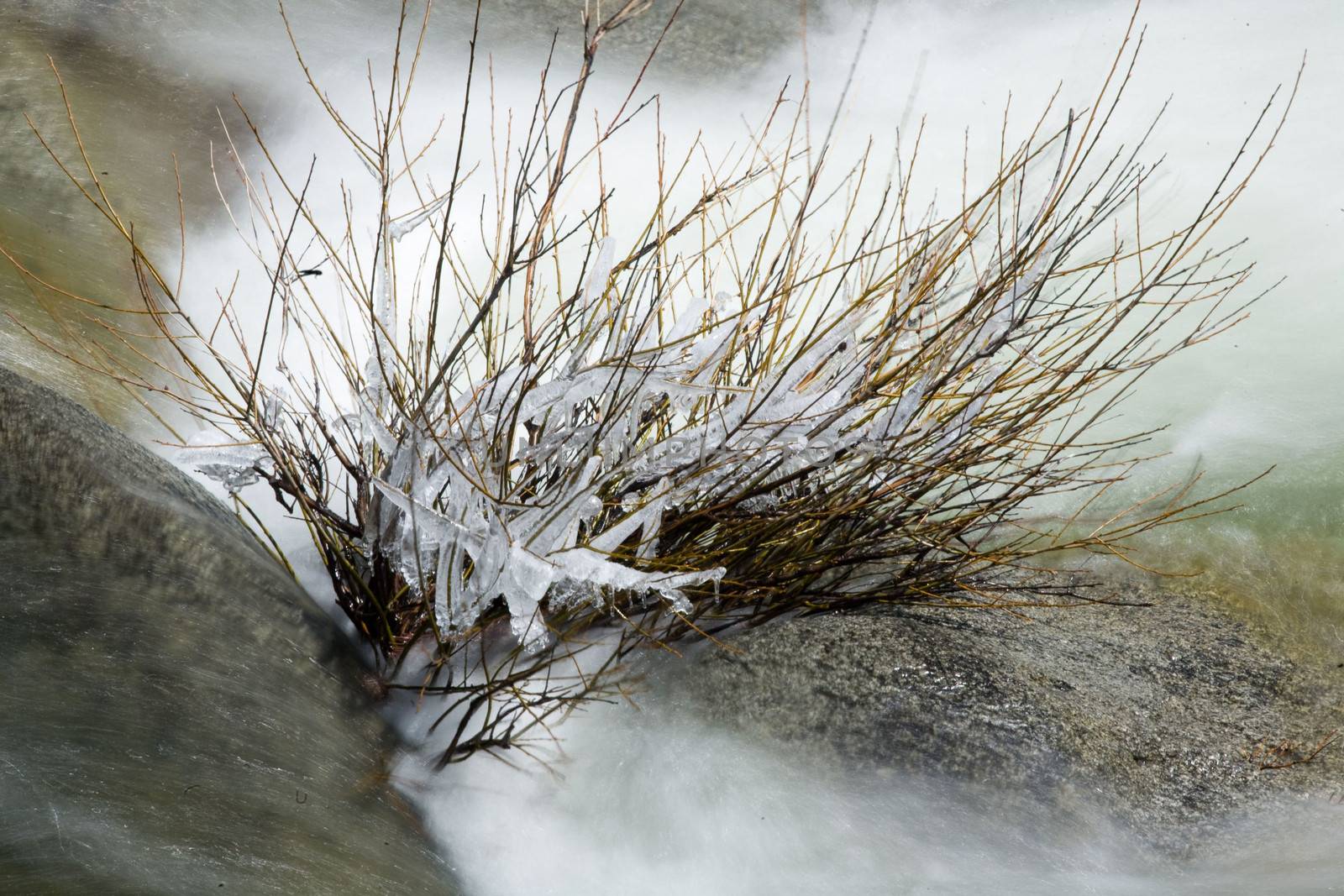 Water flowing through rocks, Yosemite National Park, California, USA