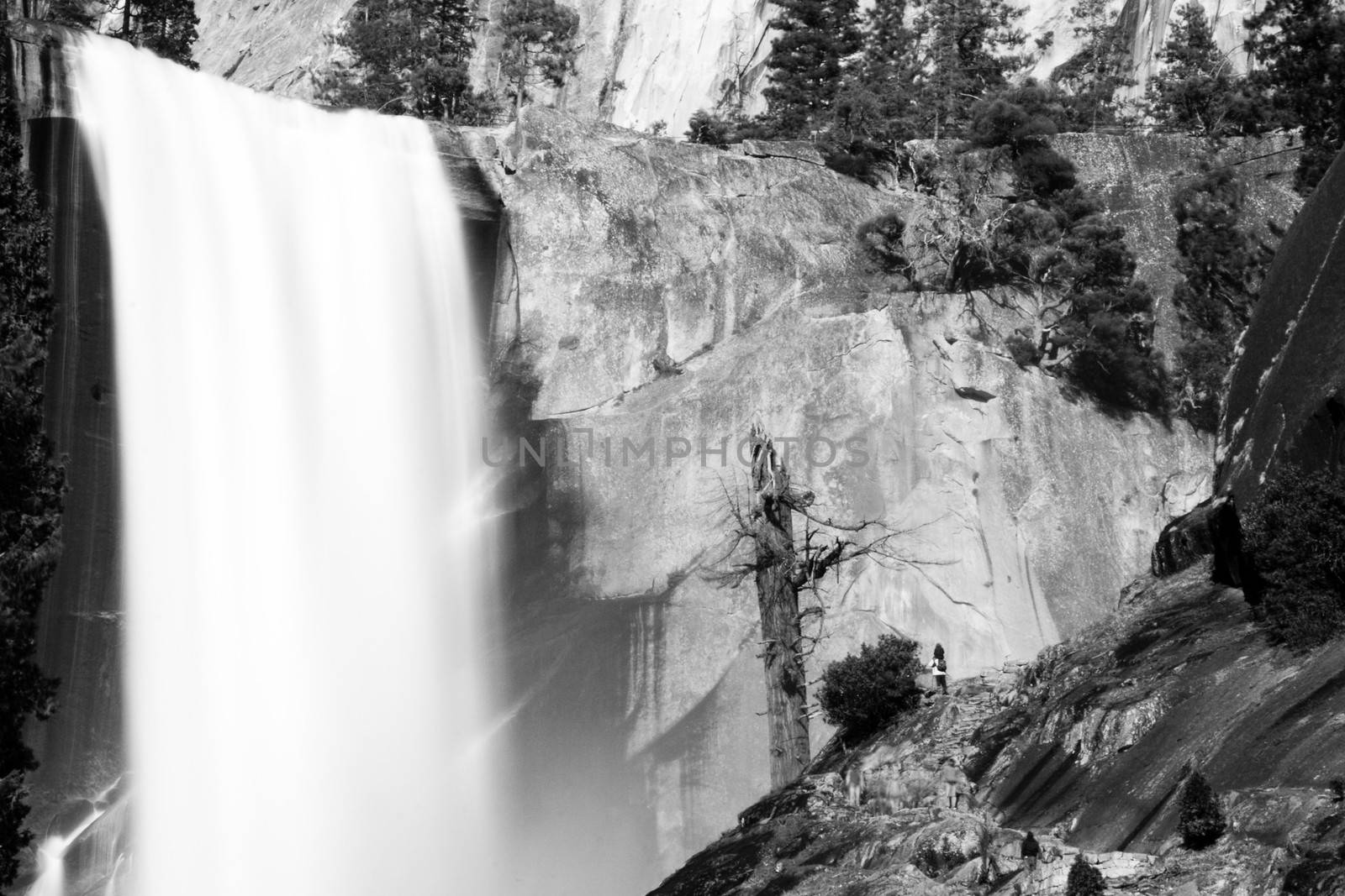 Waterfall in a forest, Yosemite Mist Trail, Vernal Falls, Yosemite National Park, California, USA