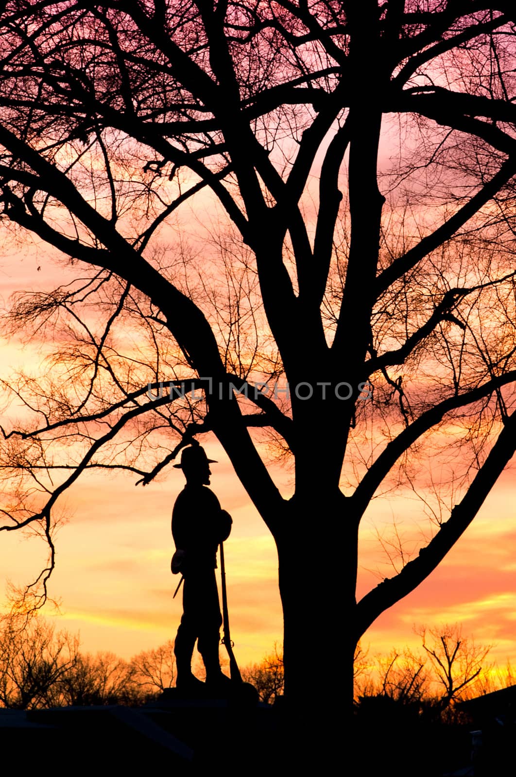 Silhouette of William Tecumseh Sherman statue and tree against a brilliant orange sunset.