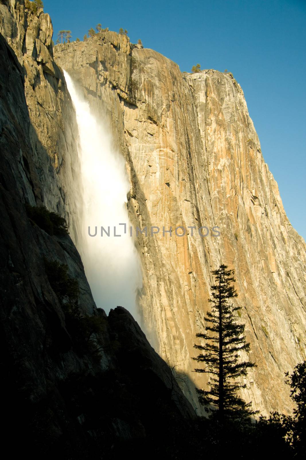 Water falling from rocks in a valley, Yosemite Falls, Yosemite Valley, Yosemite National Park, California, USA