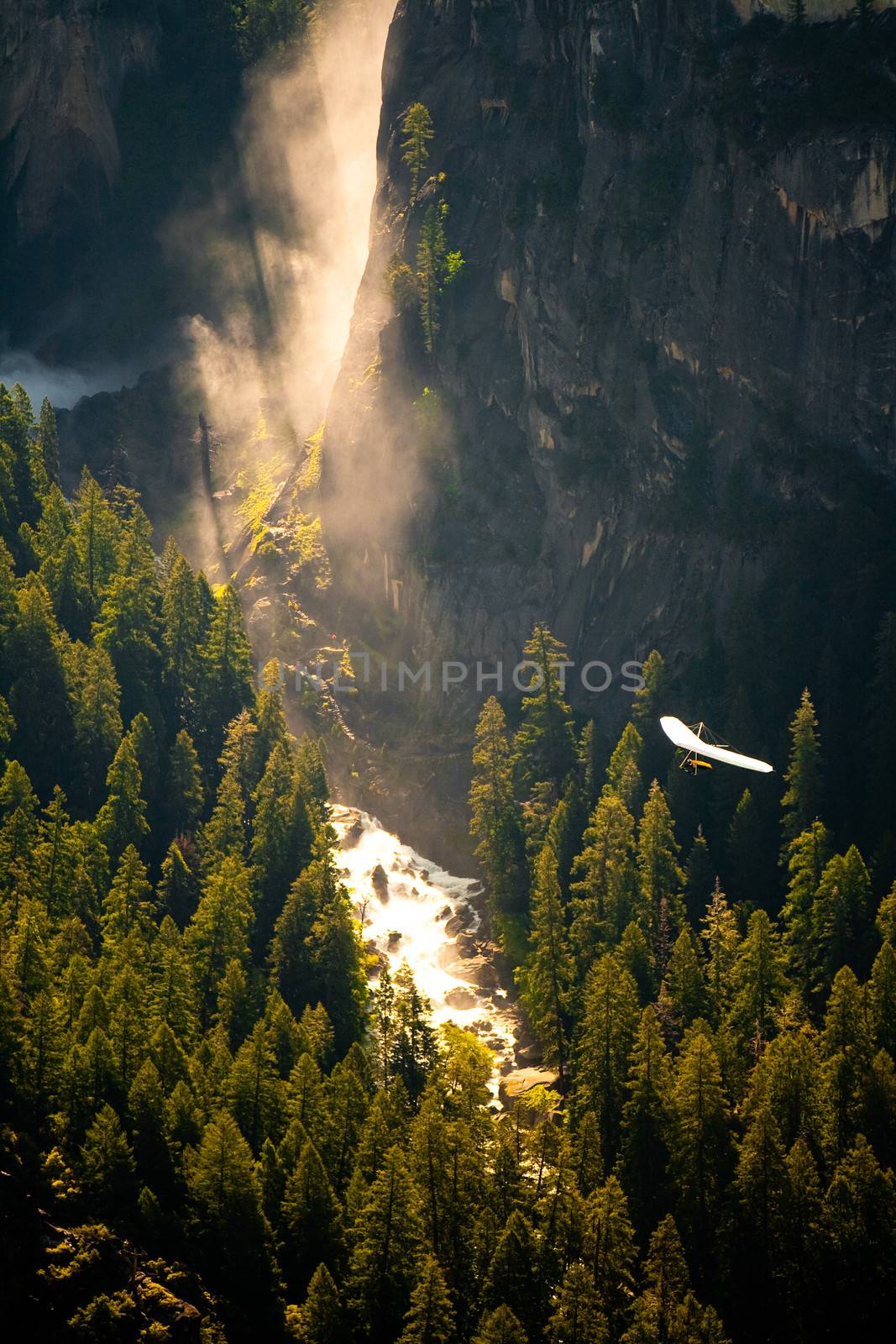 Aerial view of waterfall and river in green forest, Yosemite National Park, California, U.S.A.
