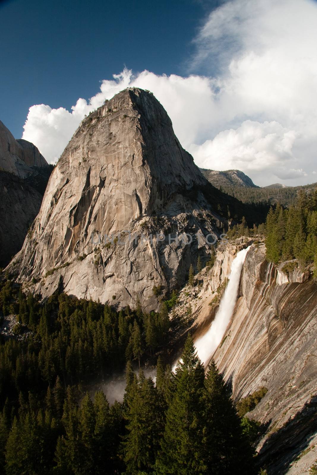 Scenic view of waterfall, forest and mountains in Yosemite National Park, California, U.S.A.