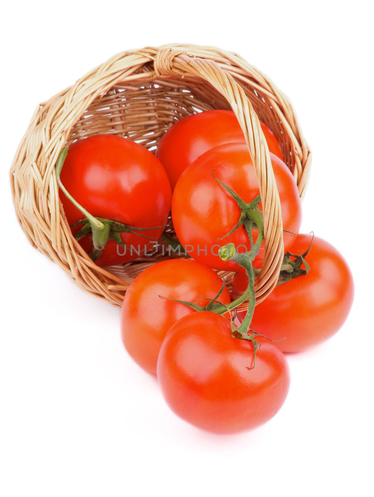 Fresh Ripe Tomatoes with Stems and Twigs Scattered from Wicker Basket isolated on white background