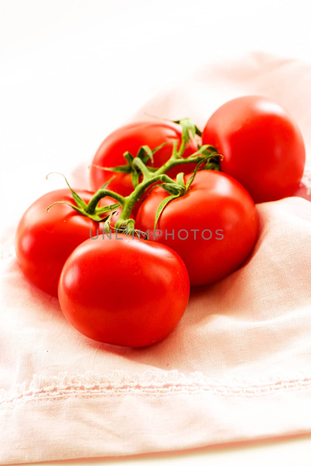 Closeup of tomatoes on the vine