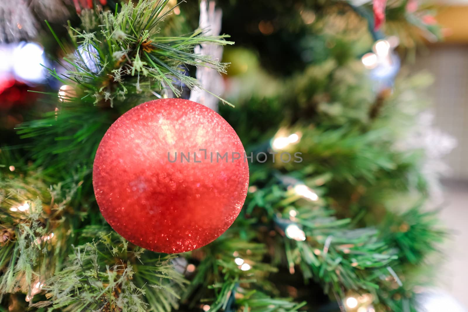 Christmas decorations on a tree by IVYPHOTOS