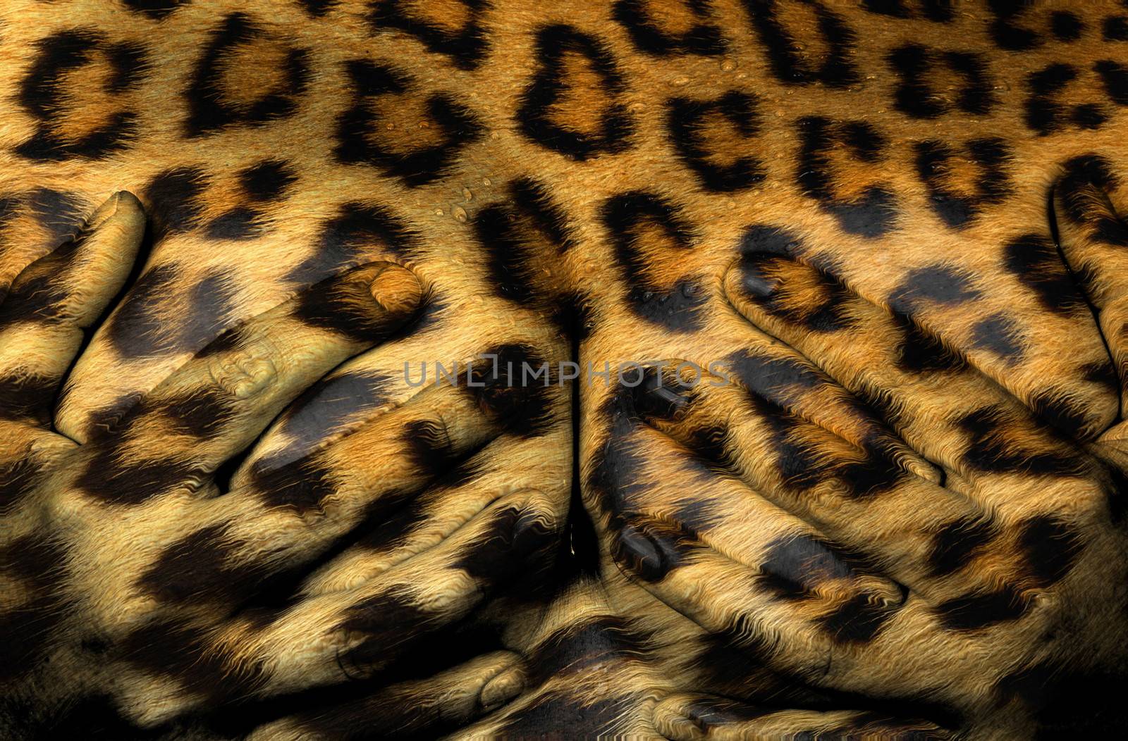 Upper part of female body, hands covering breasts, leopard