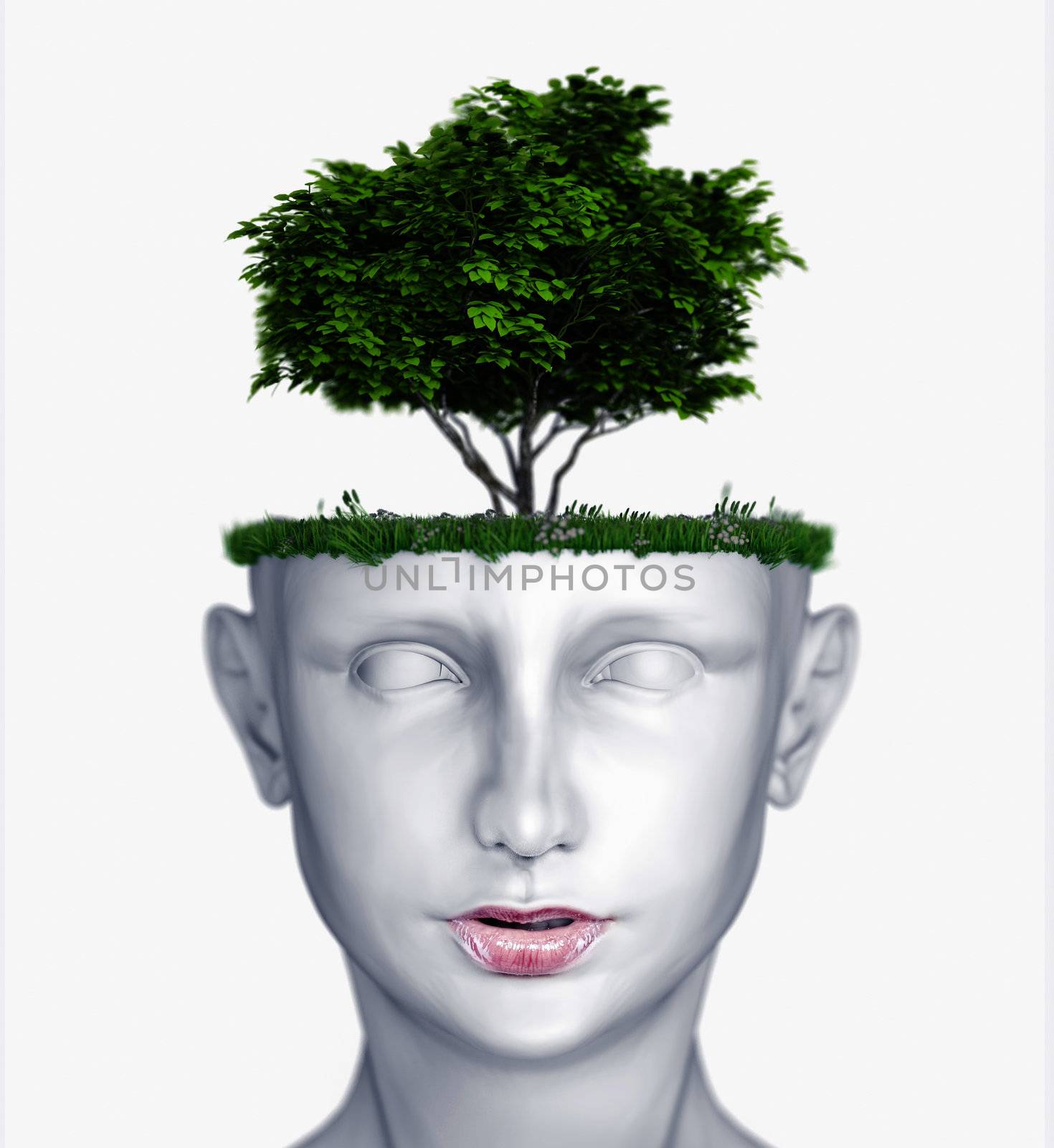 white human head with tree (3D concept)