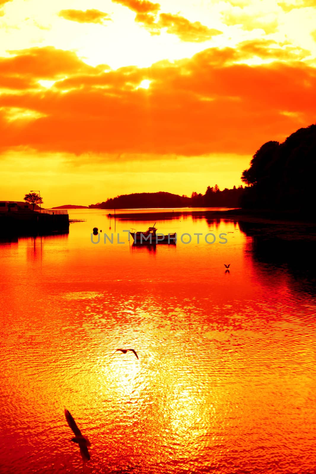 hot red silhouette of boat and birds at sunset by morrbyte