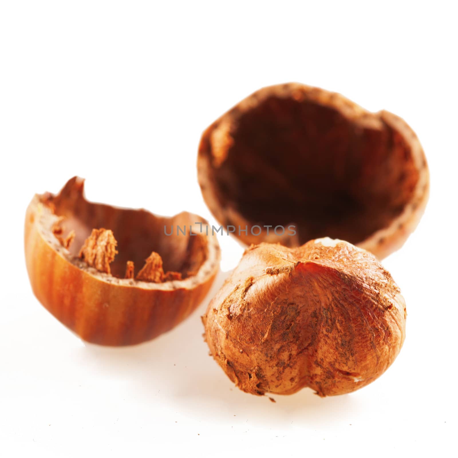 An open hazelnut isolated over white background