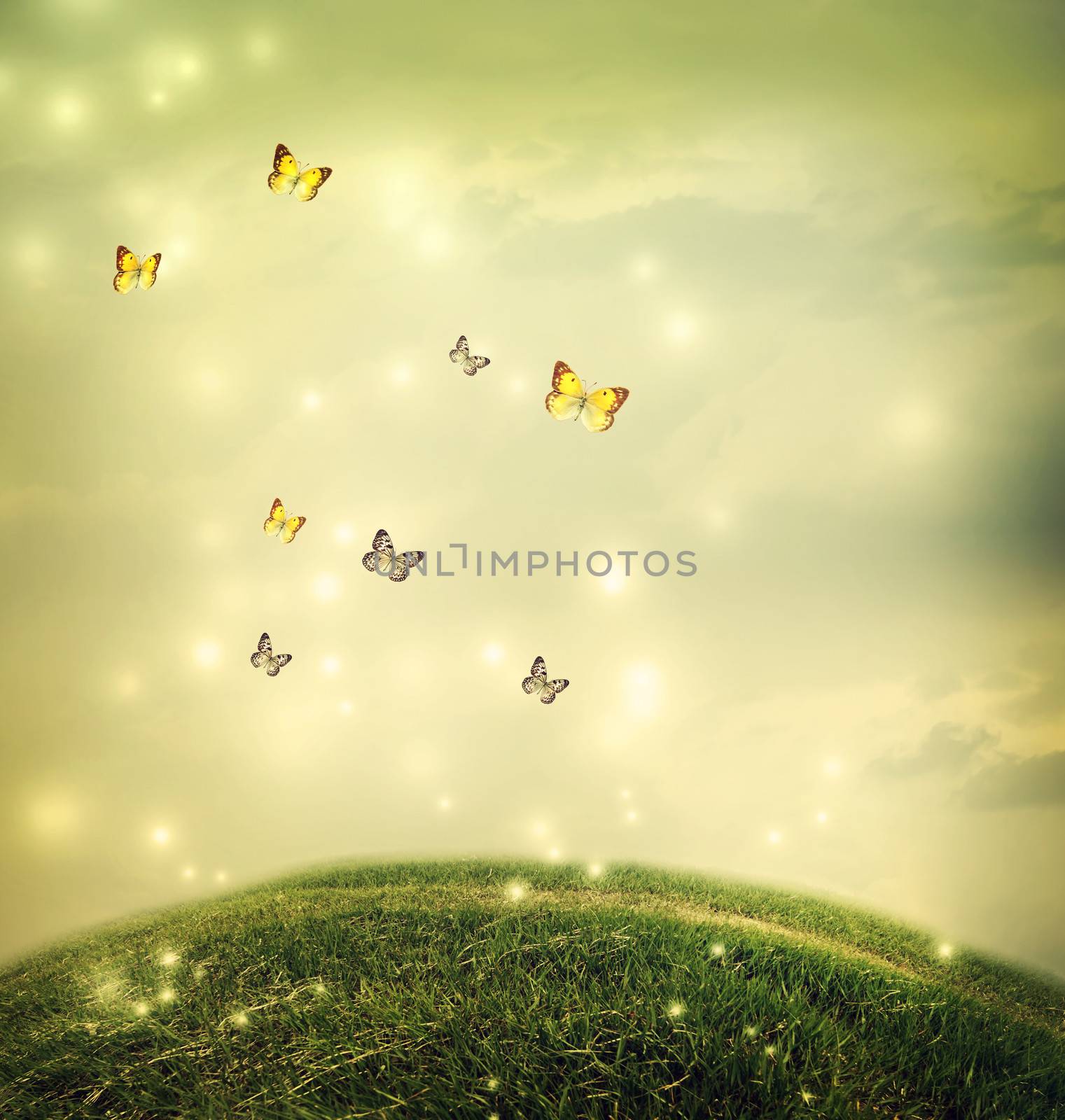 Butterflies in the shinning fantasy hilltop landscape 