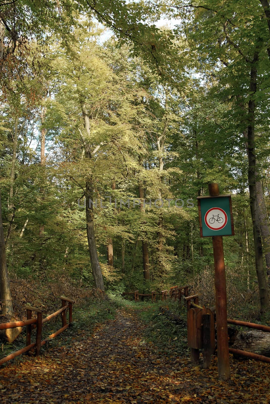 Forest in Warsaw. Path ban show trafic of bicycles prohibited