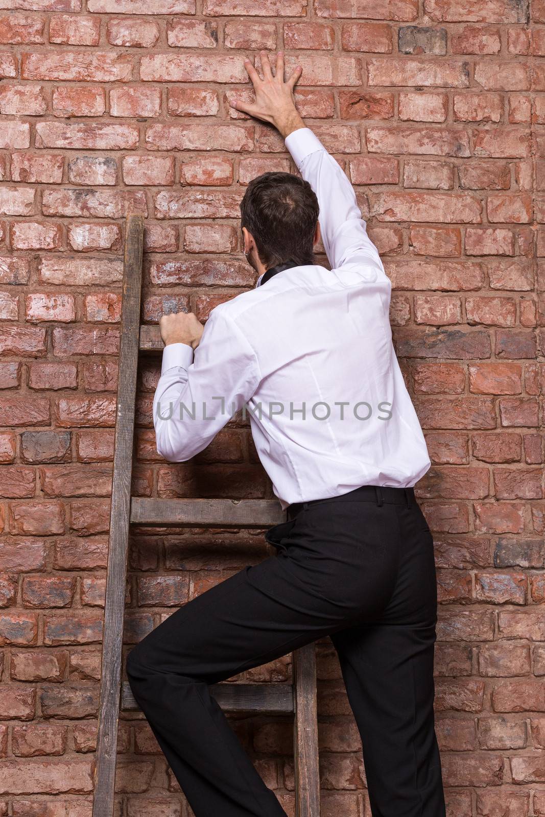 Man at the end of his search up against a brick wall standing balanced at the top of a stepladder, nowhere else to go