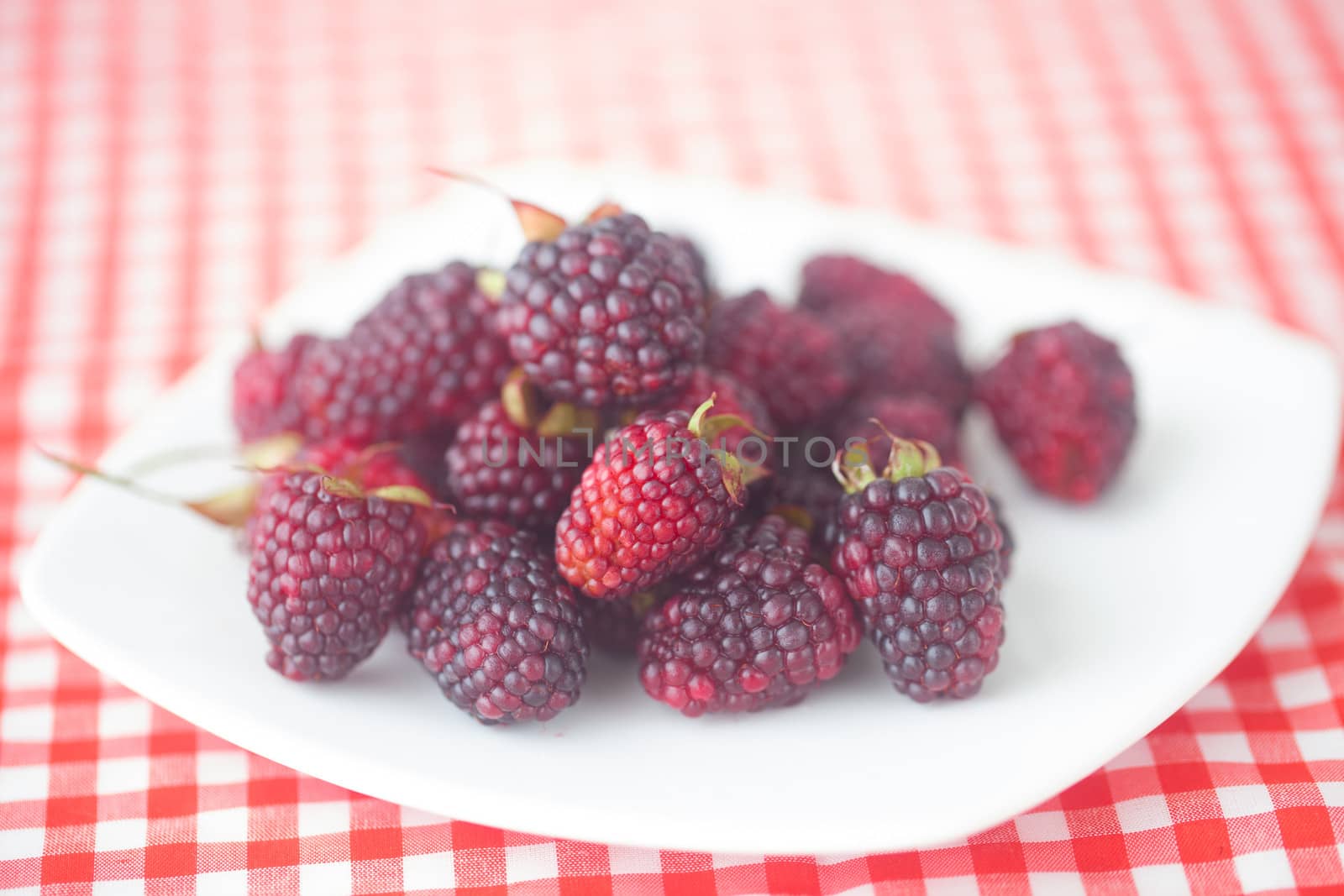 blackberries on plate on checkered fabric