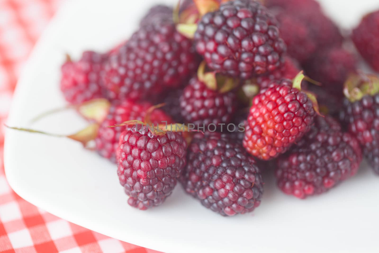 blackberries on plate on checkered fabric