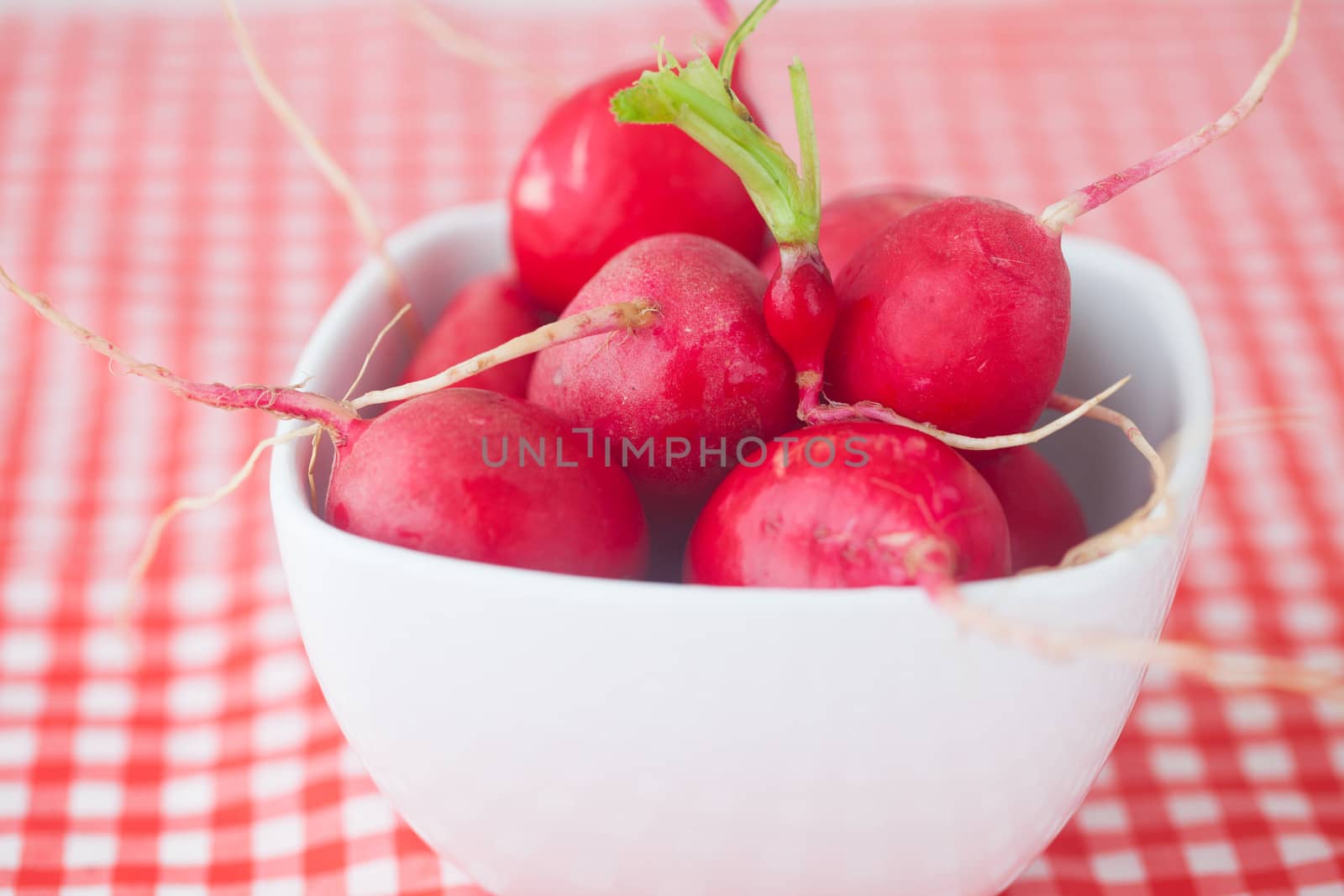 radish in bowl on checkered fabric by jannyjus