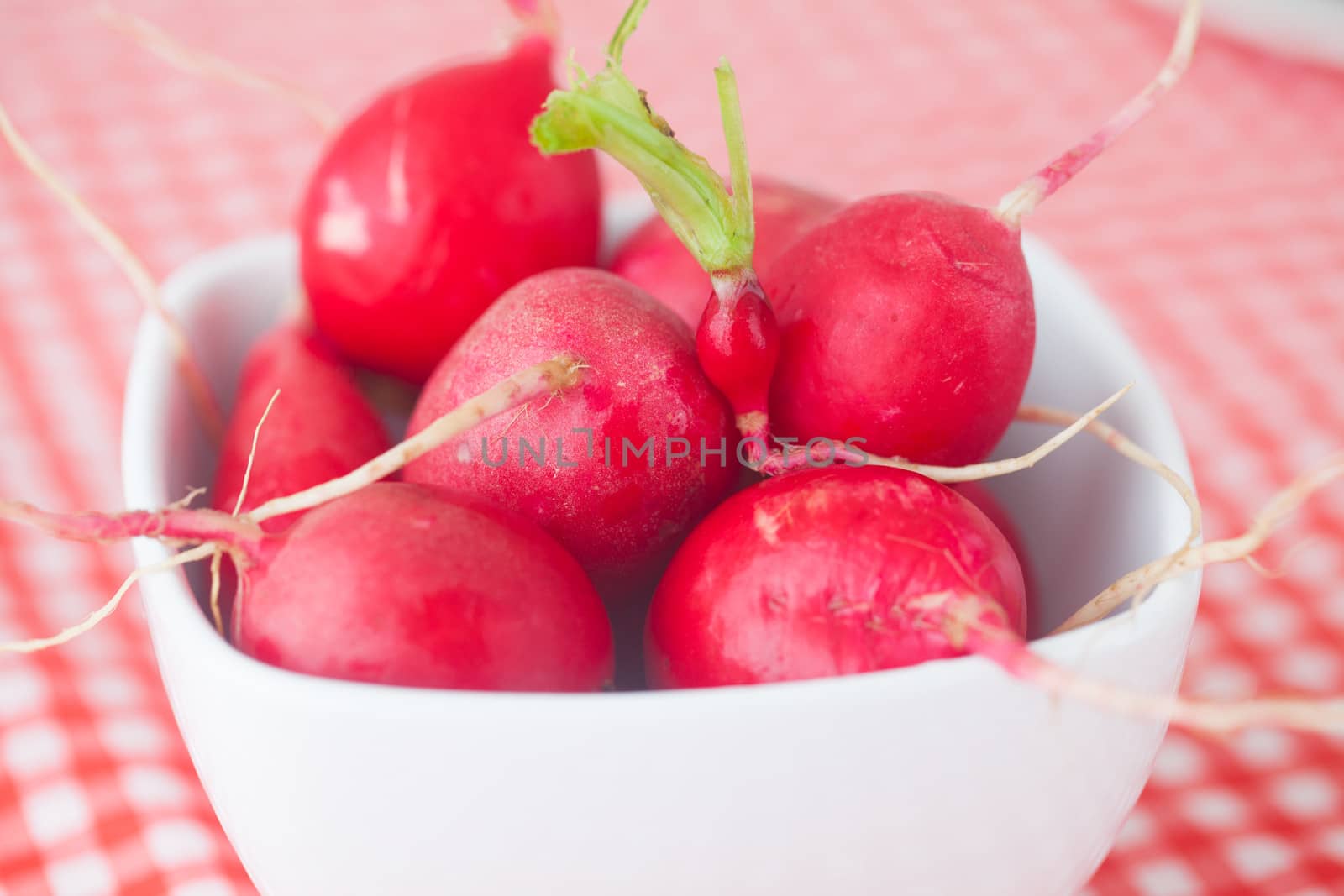 radish in bowl on checkered fabric by jannyjus