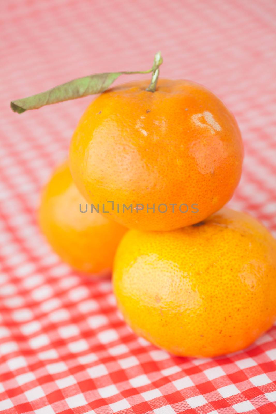 tangerine on checkered fabric