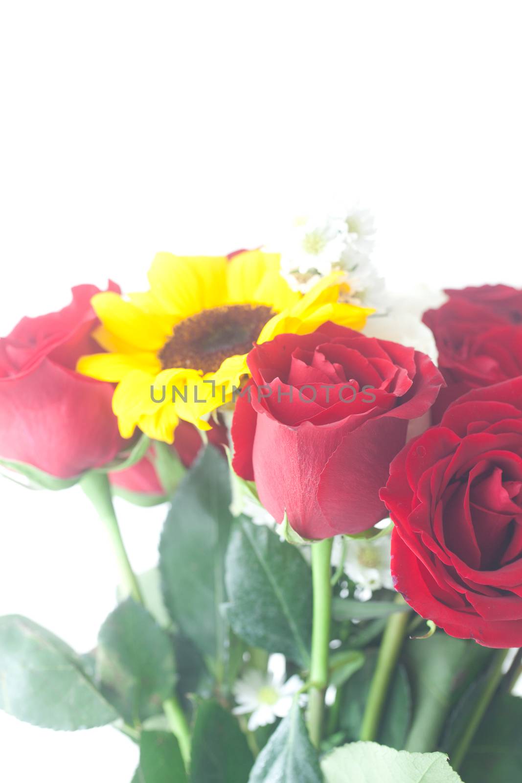 bouquet of red roses and sunflower in a vase  by jannyjus