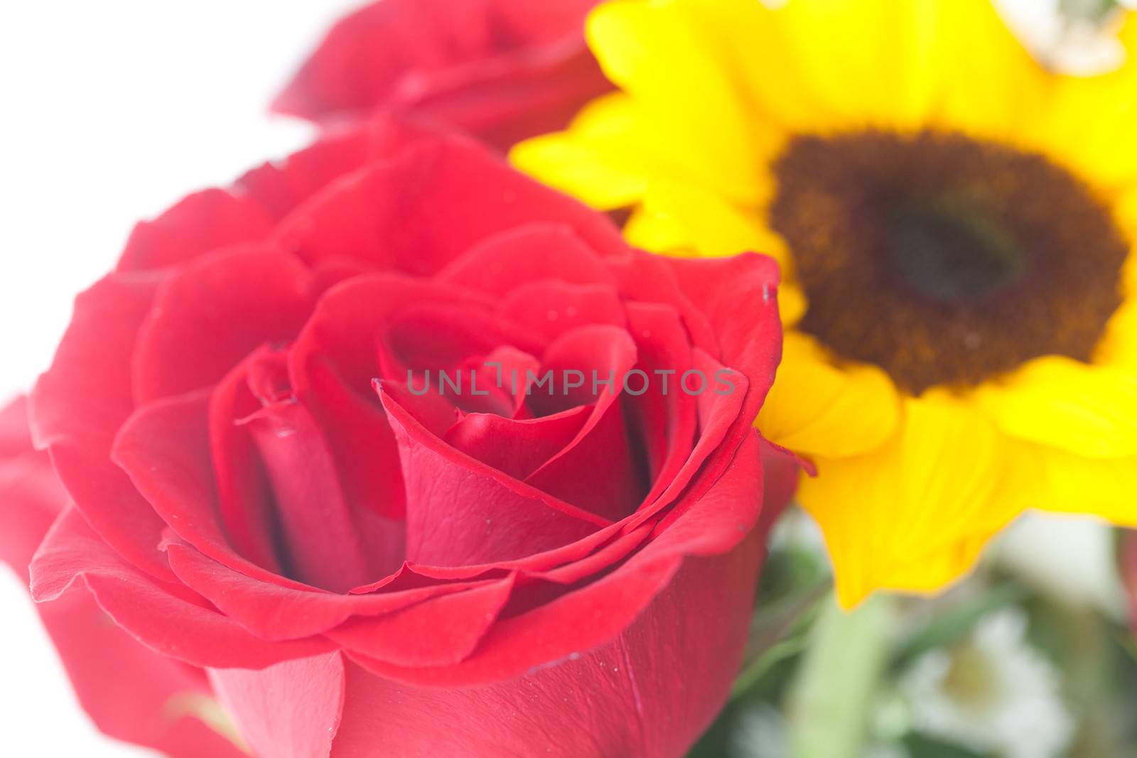 bouquet of red roses and sunflower in a vase 