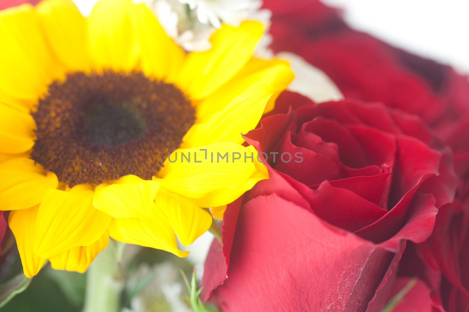 bouquet of red roses and sunflower in a vase 