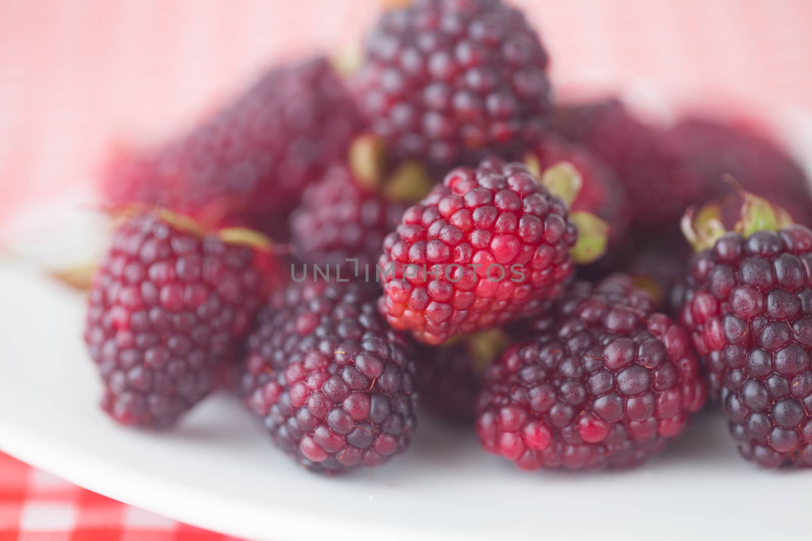 blackberries on plate on checkered fabric