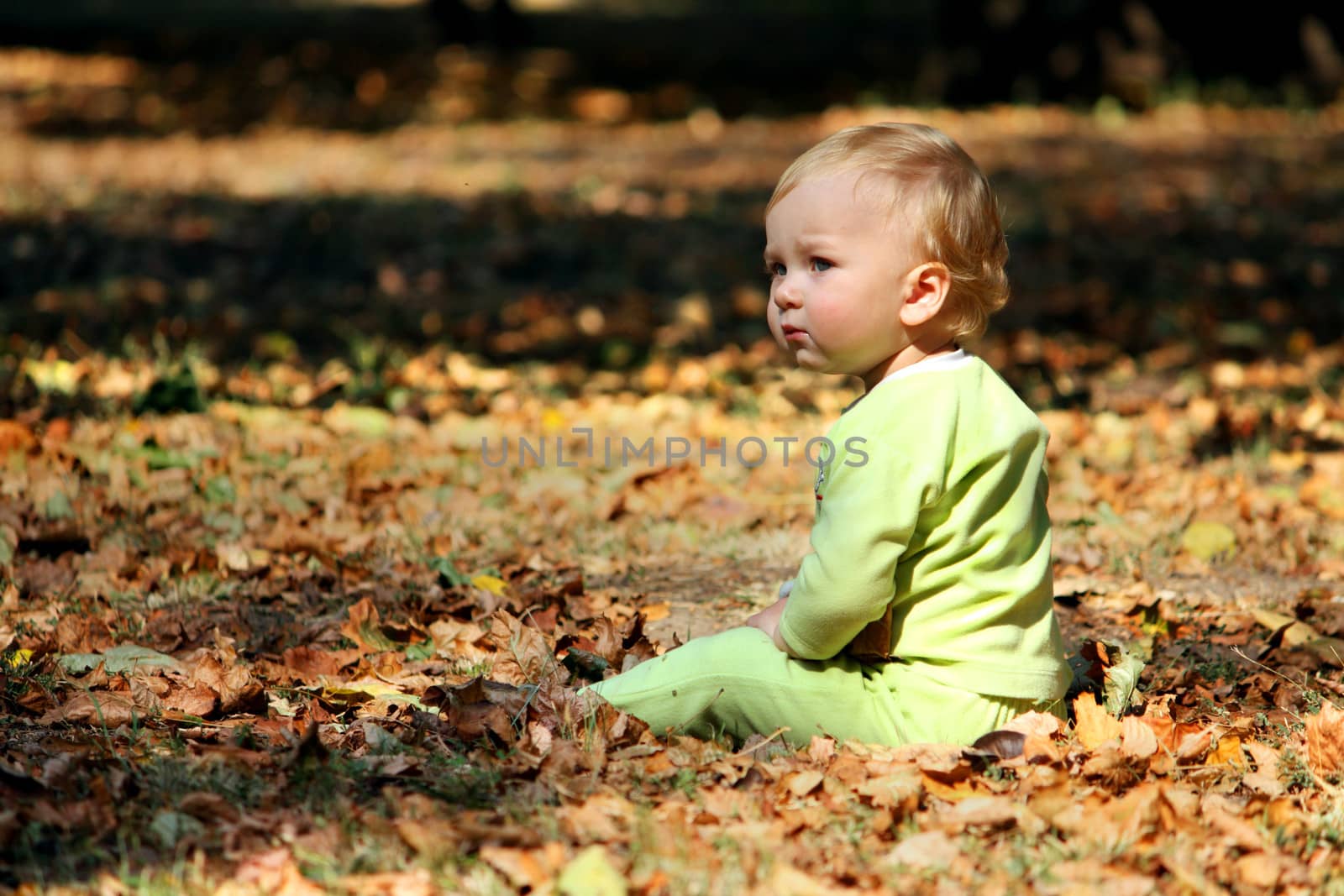 Boy on a leafs by dedmorozz