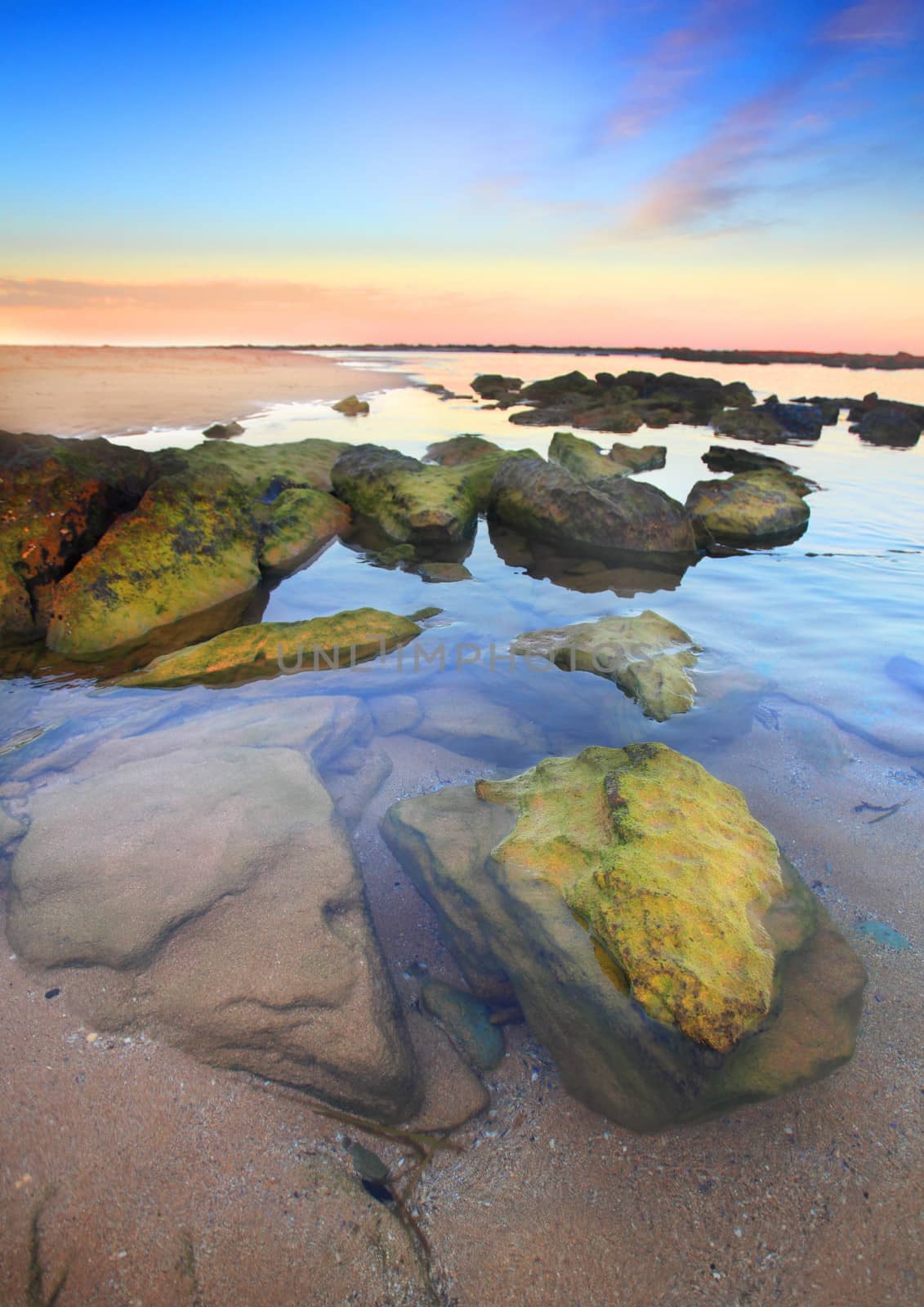 Beautiful sunset at unspoilt Toowoon Bay beach at low tide exposing the mossy green rocks on the reef shelf.  Australia.  Focus to foreground only