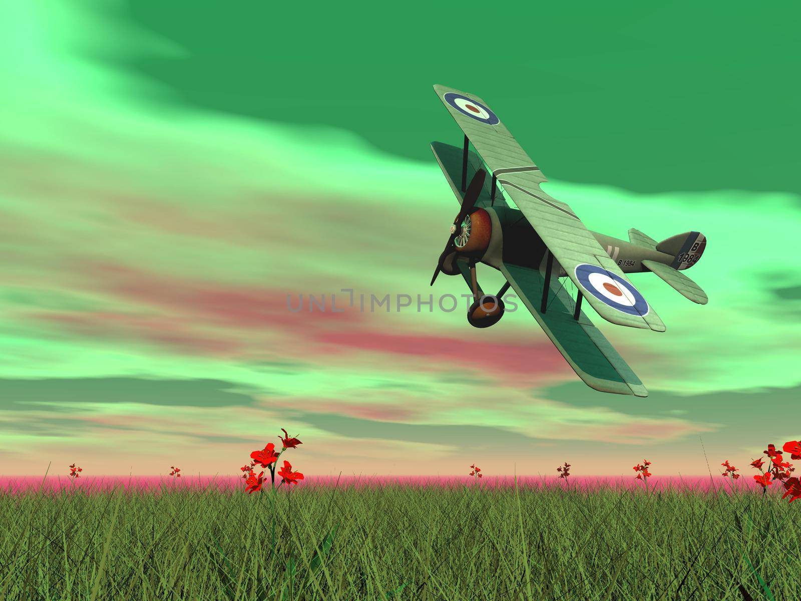 Vintage biplane flying upon the green grass with flowers by sunset