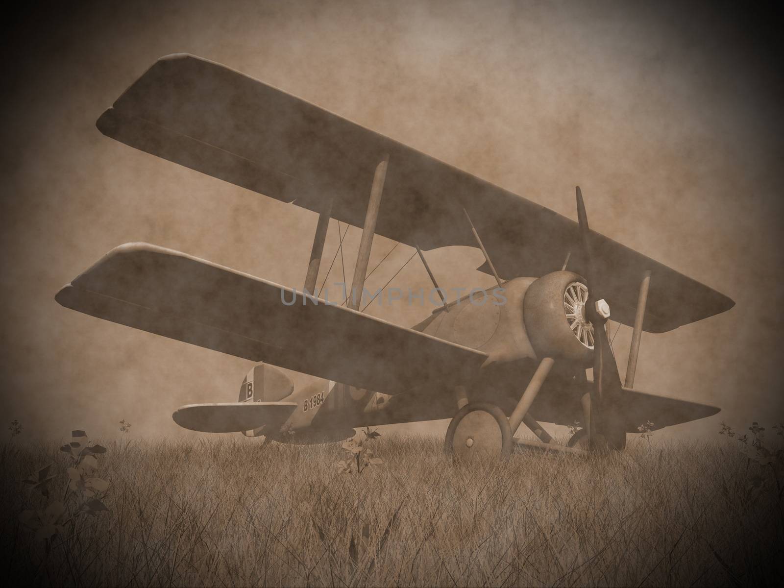 Vintage image of a biplane standing on the grass with flowers