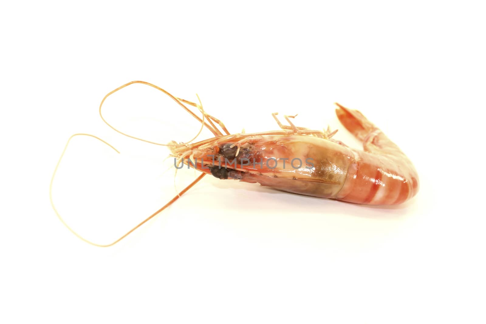 fresh cooked orange prawns on a light background