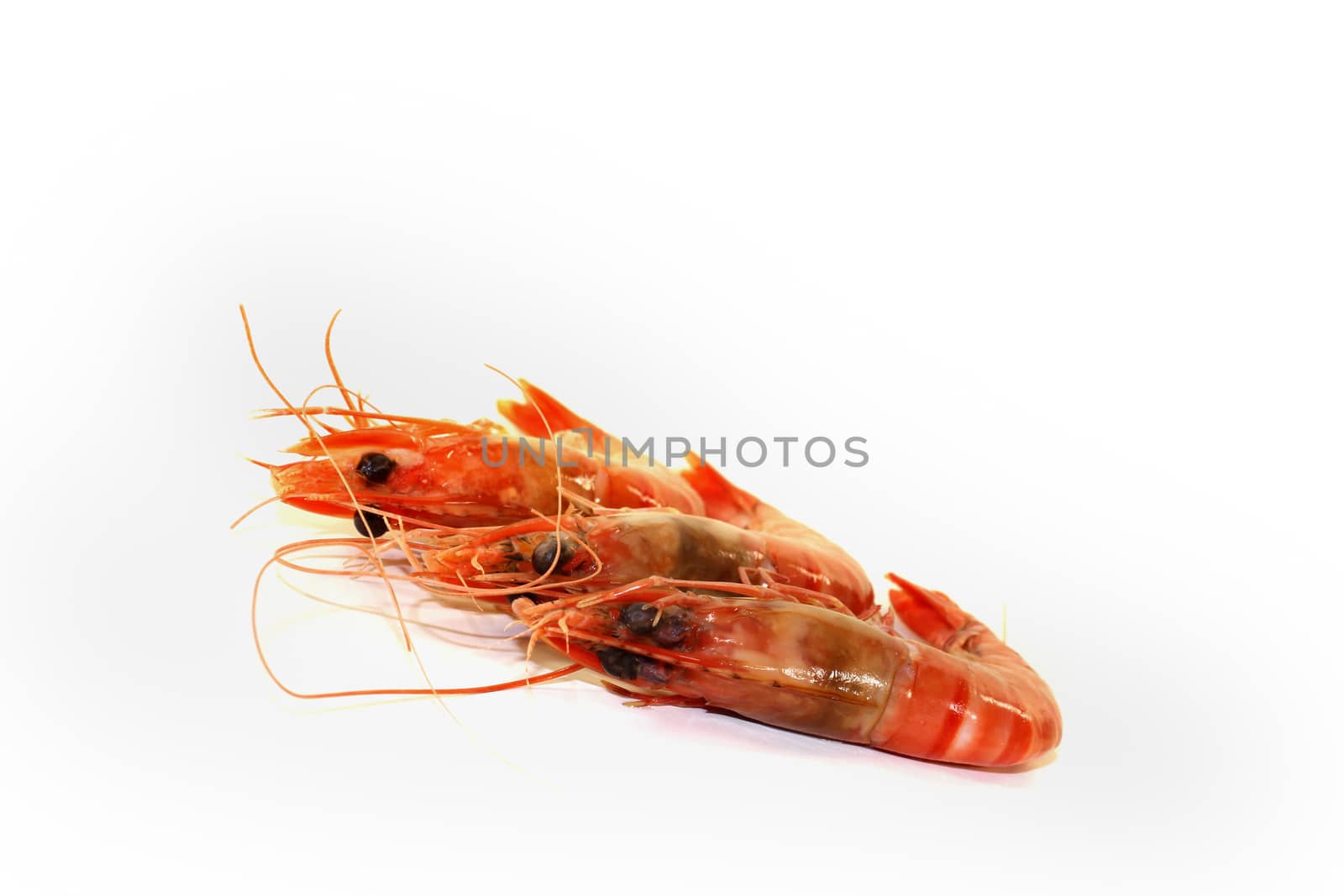 three fresh cooked prawns on a light background