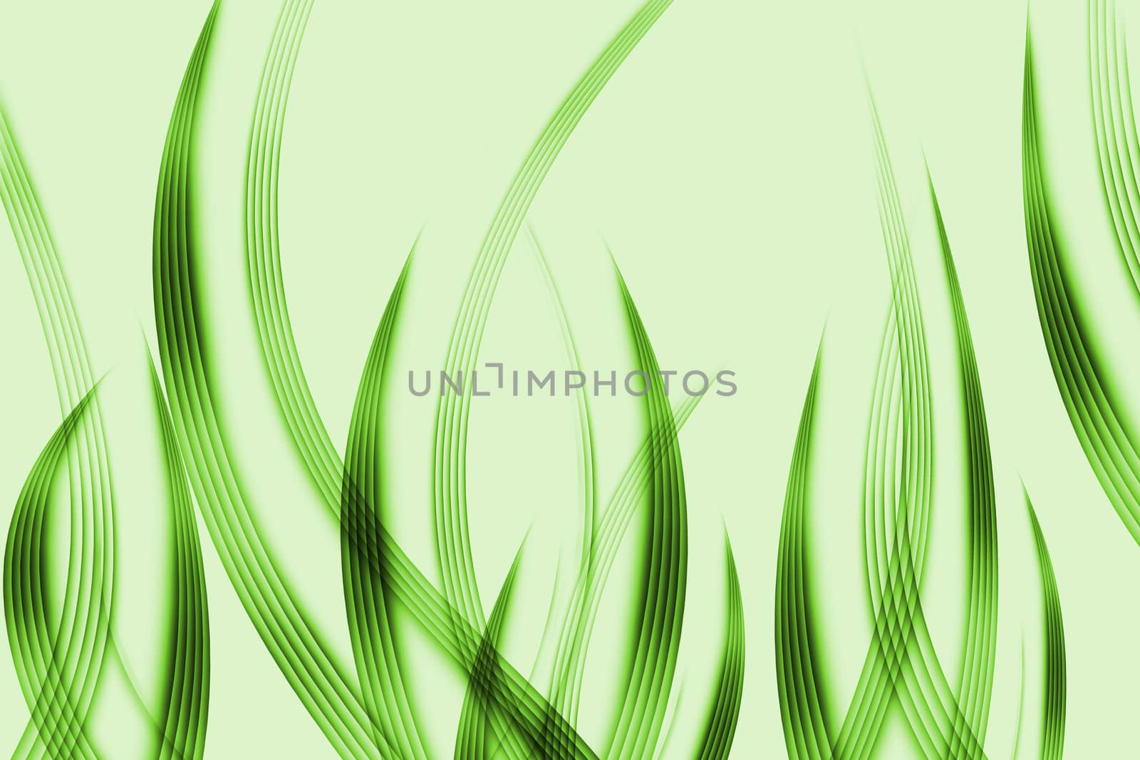 abstract lines and wavy green background