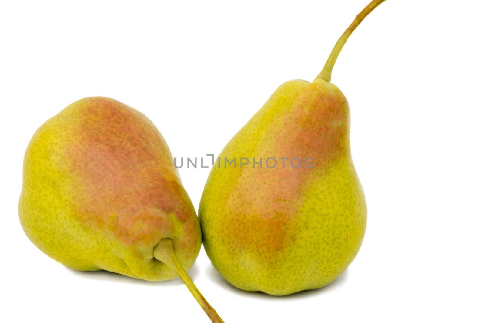 Two ripe large yellow pears. Presented on a white background.