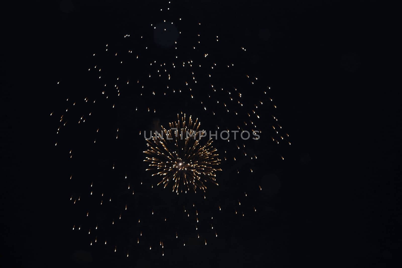 Colorful firework in the black night sky