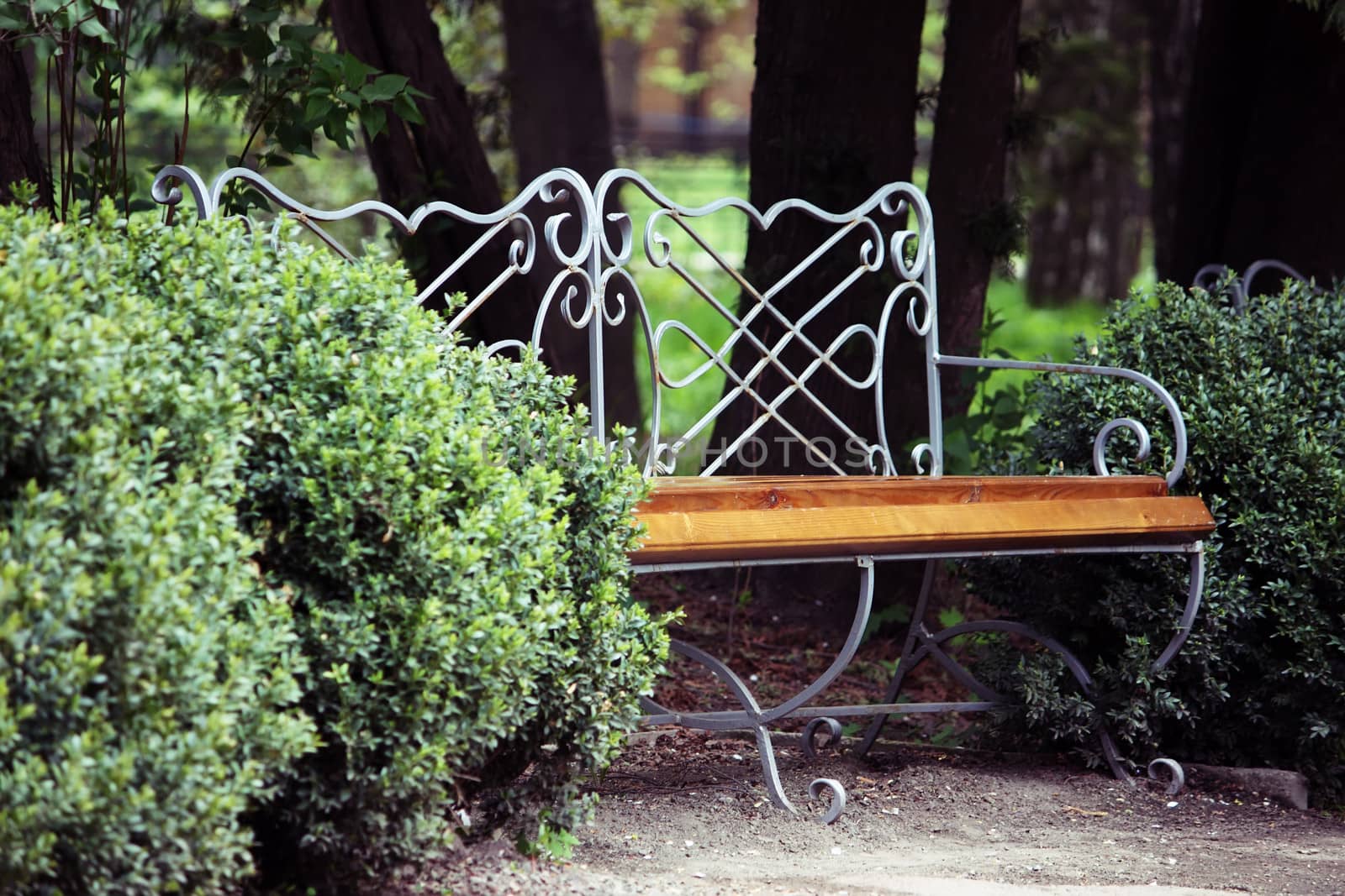 Empty old styled bench in a city park