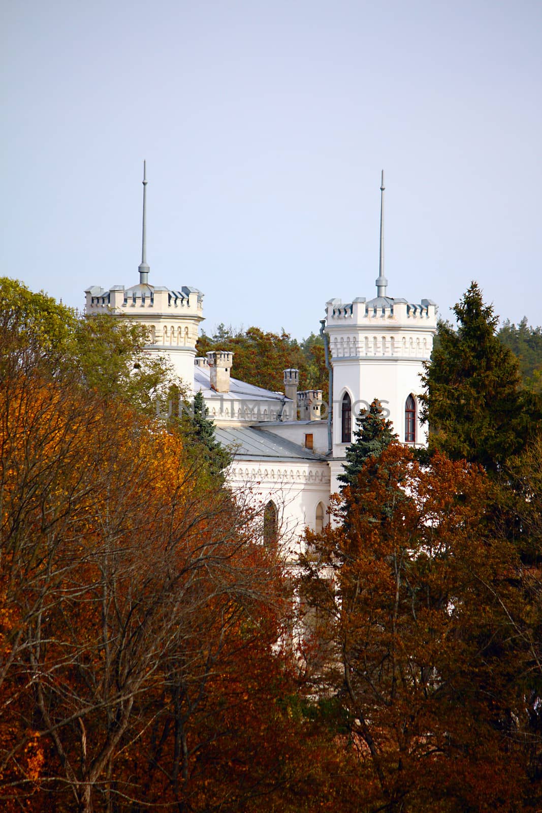 White castle near the autumn forest