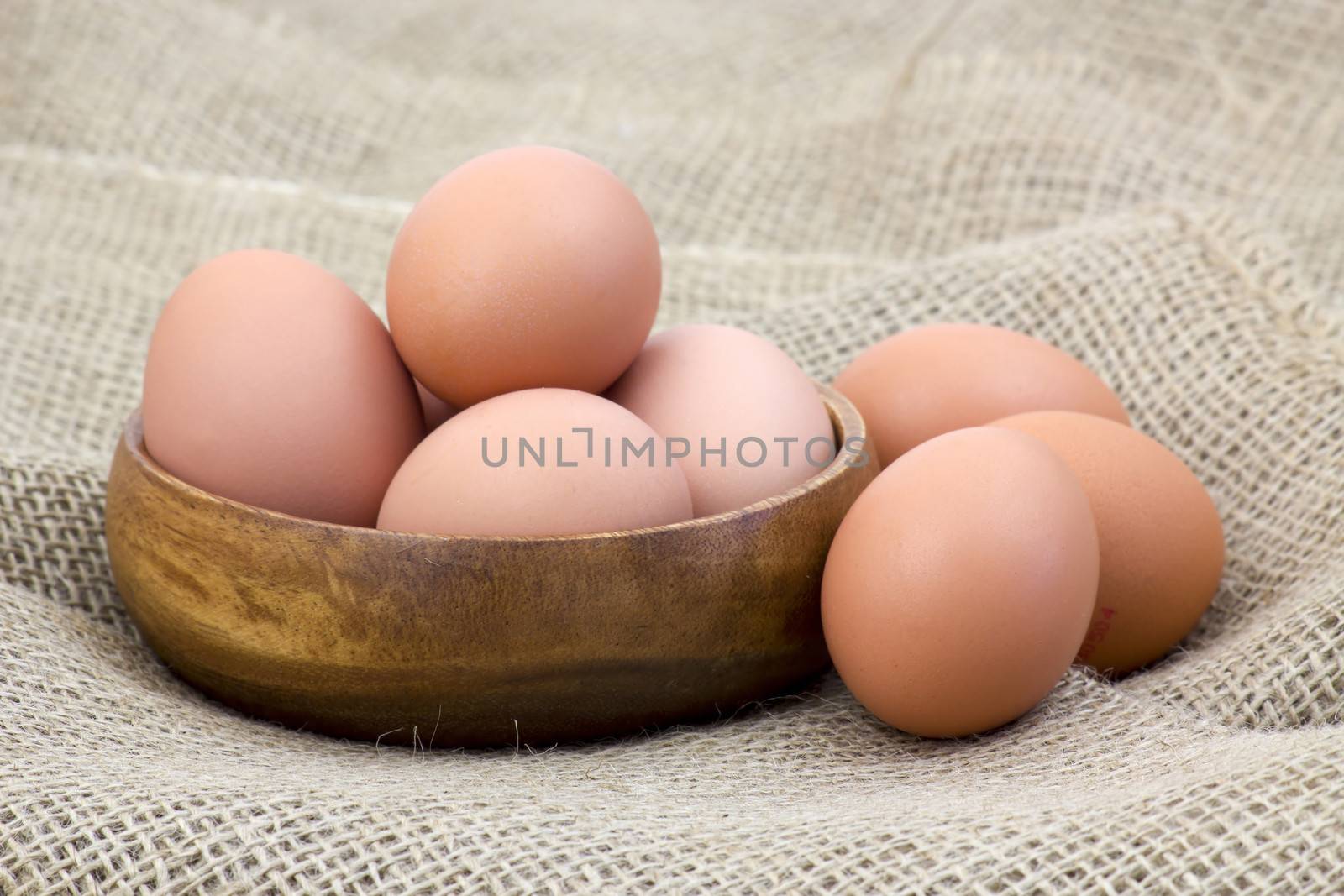 eggs