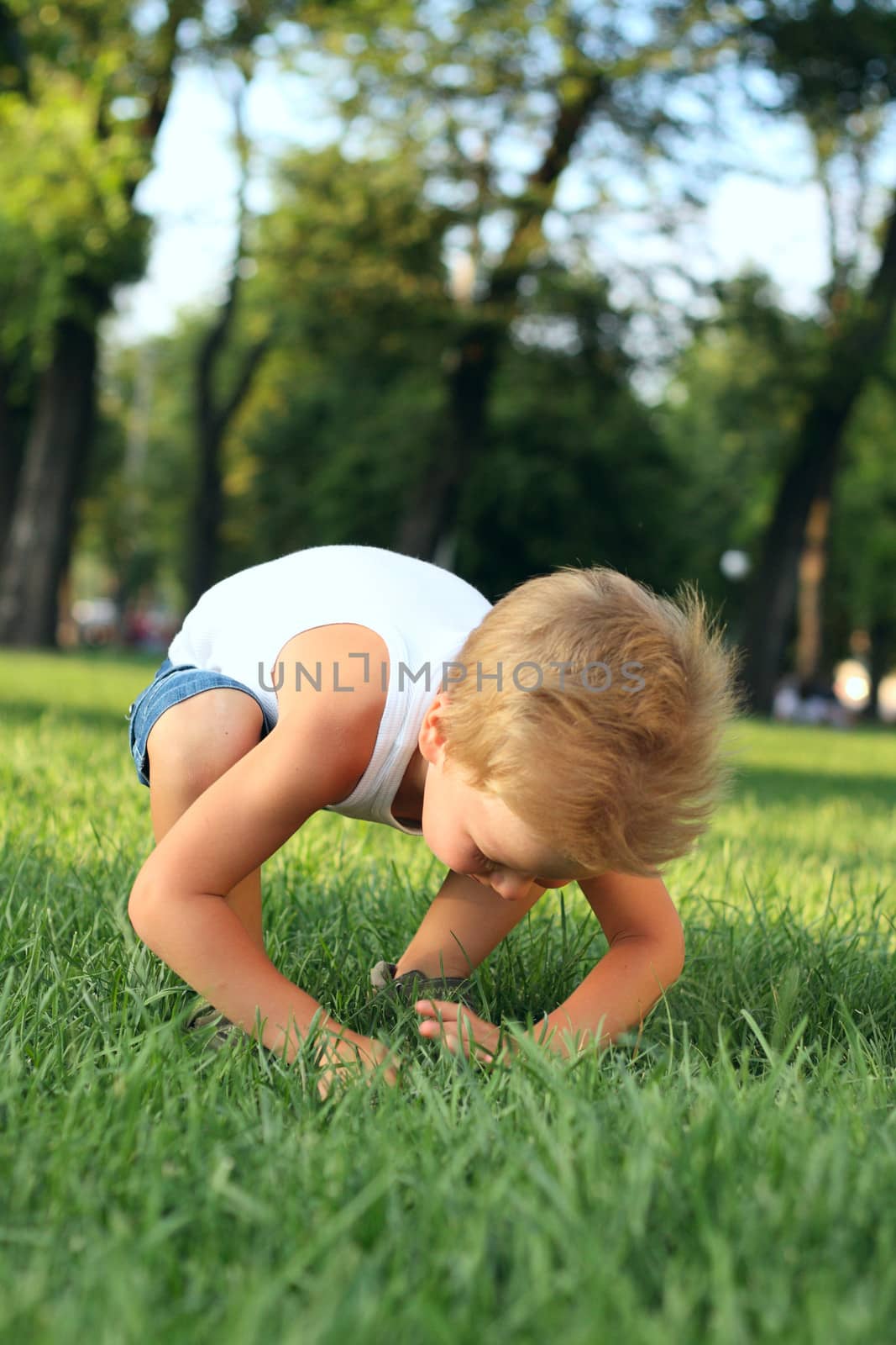 Little boy looking for lost thing in the grass