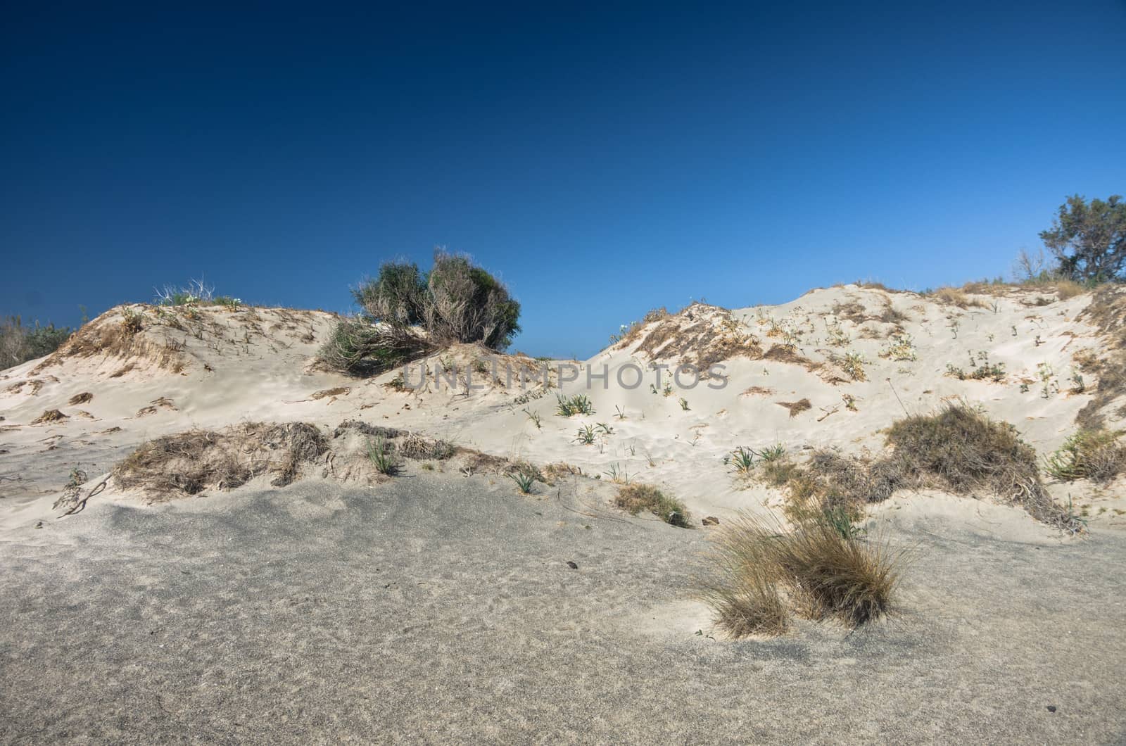 Dunes on Elafonisi Beach, Crete island