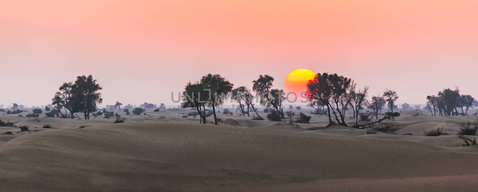  Arabian desert by oleg_zhukov