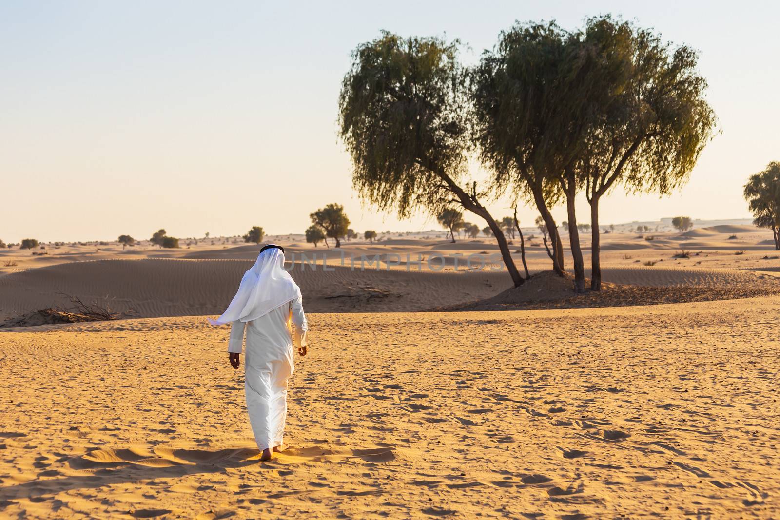  Arabian desert by oleg_zhukov