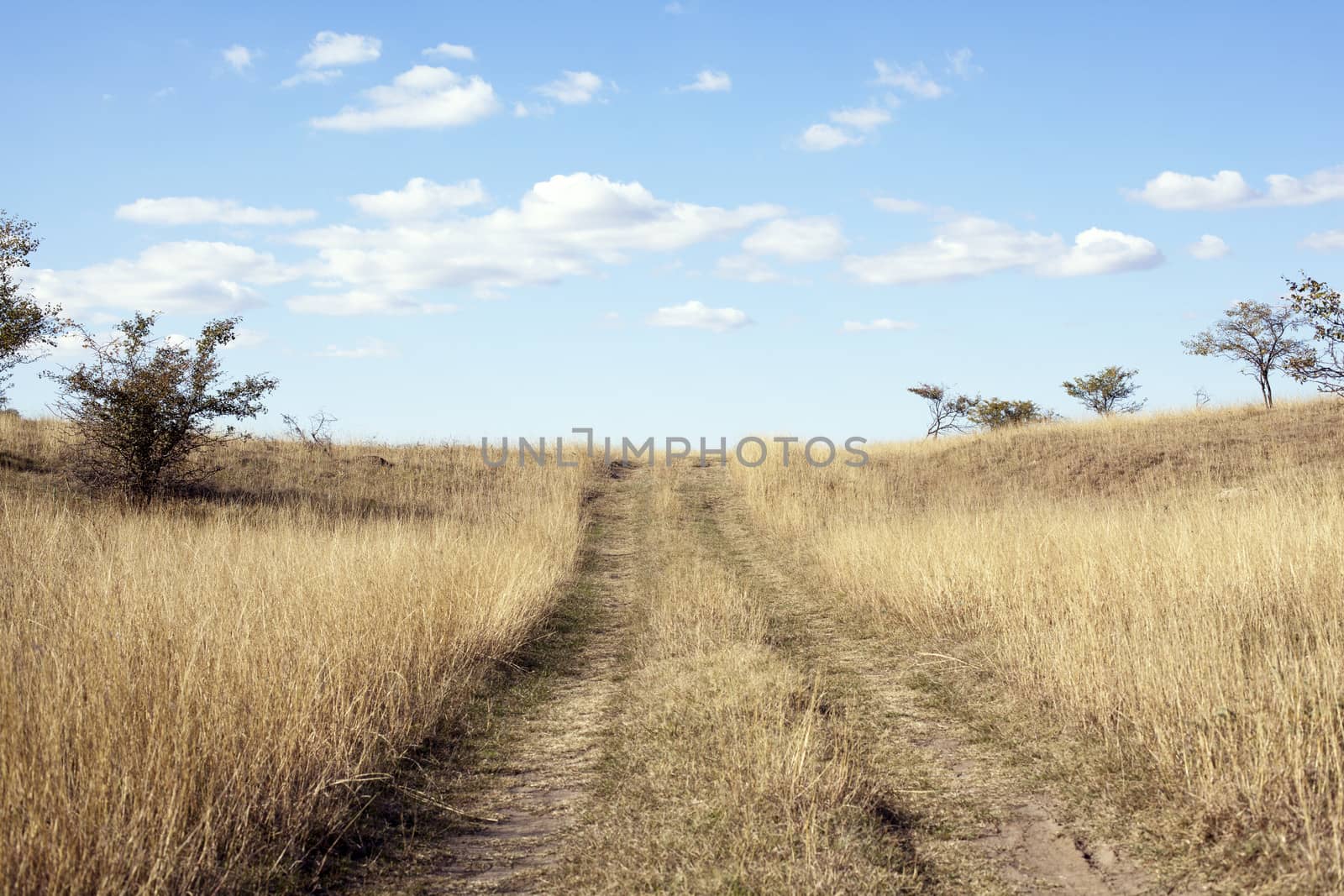 Empty road