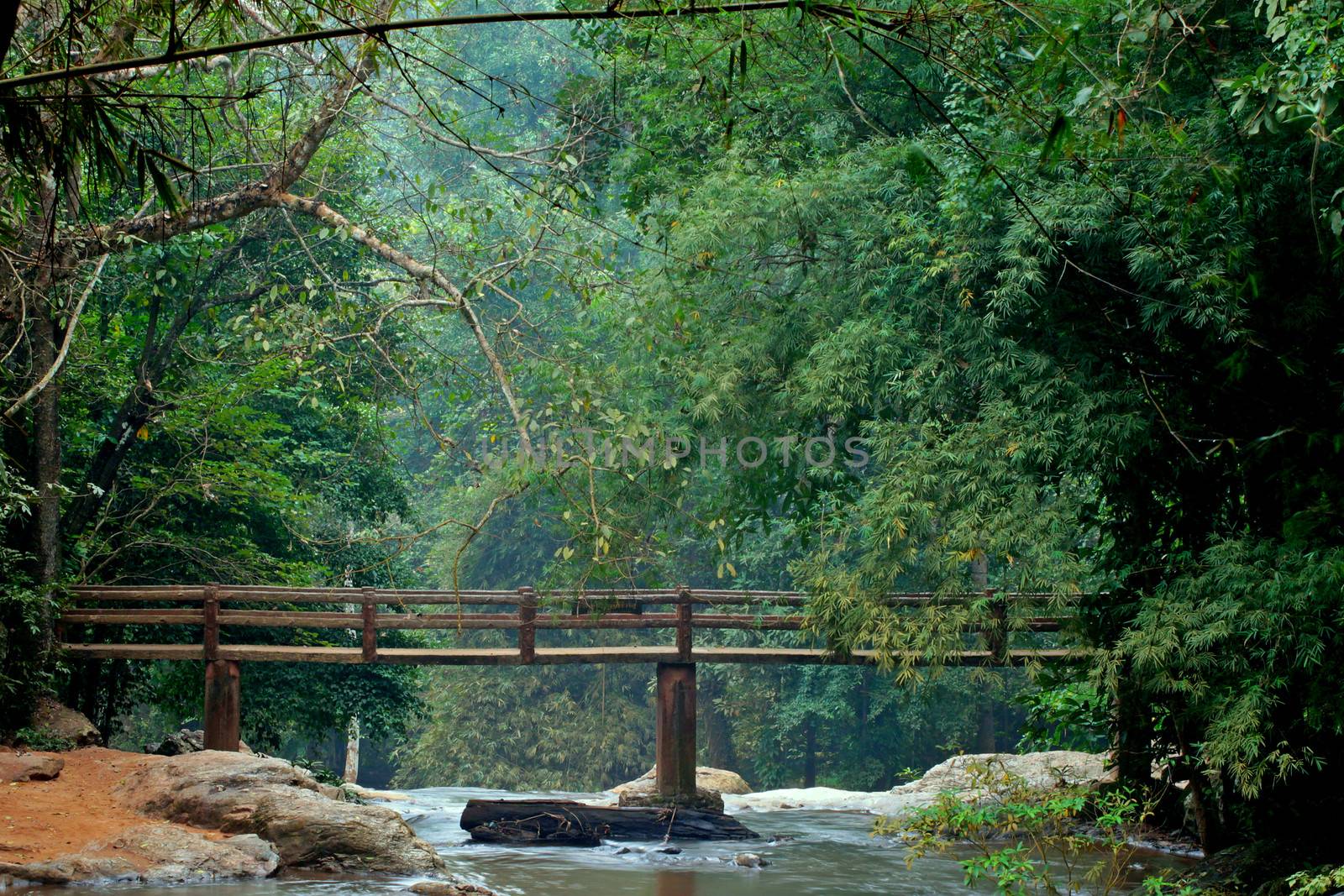 Waterfall in The forest at Chiang Mai , Thailand