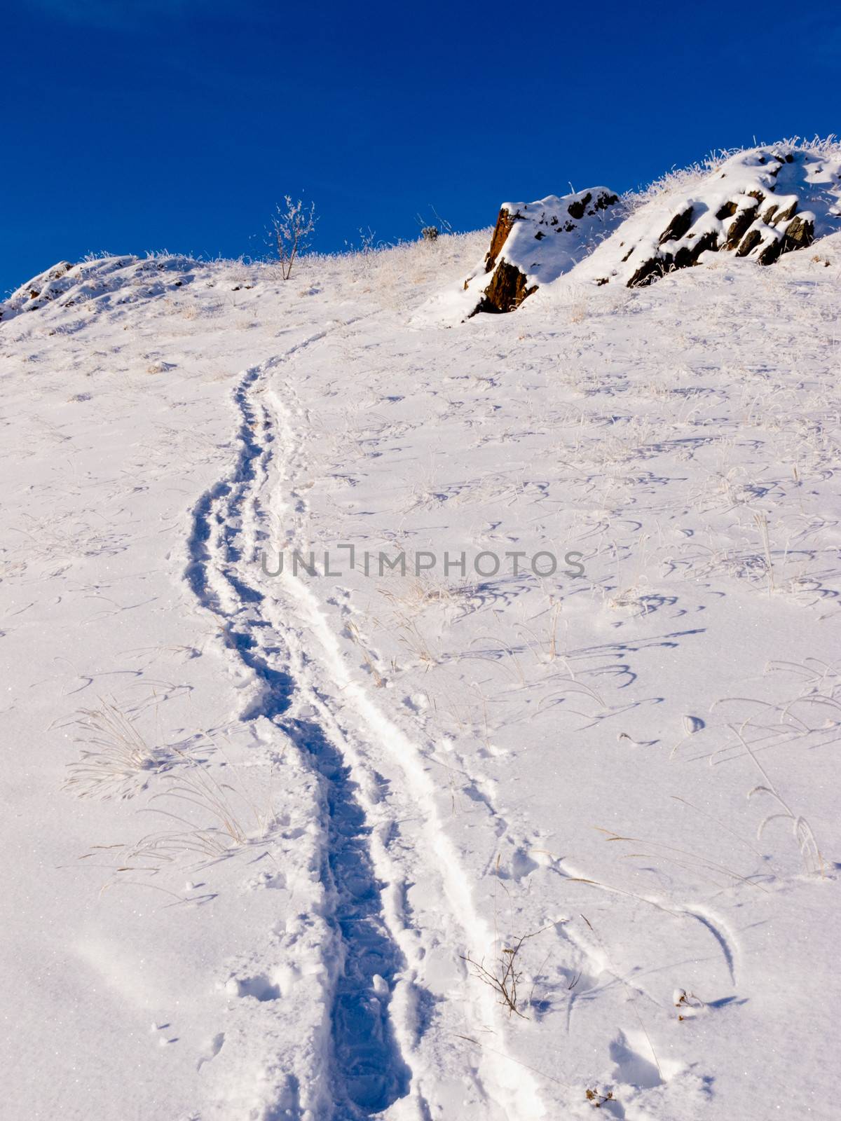 Snow-shoe track prints in deep powder leading up hillside slope pristine winter wonderland wilderness