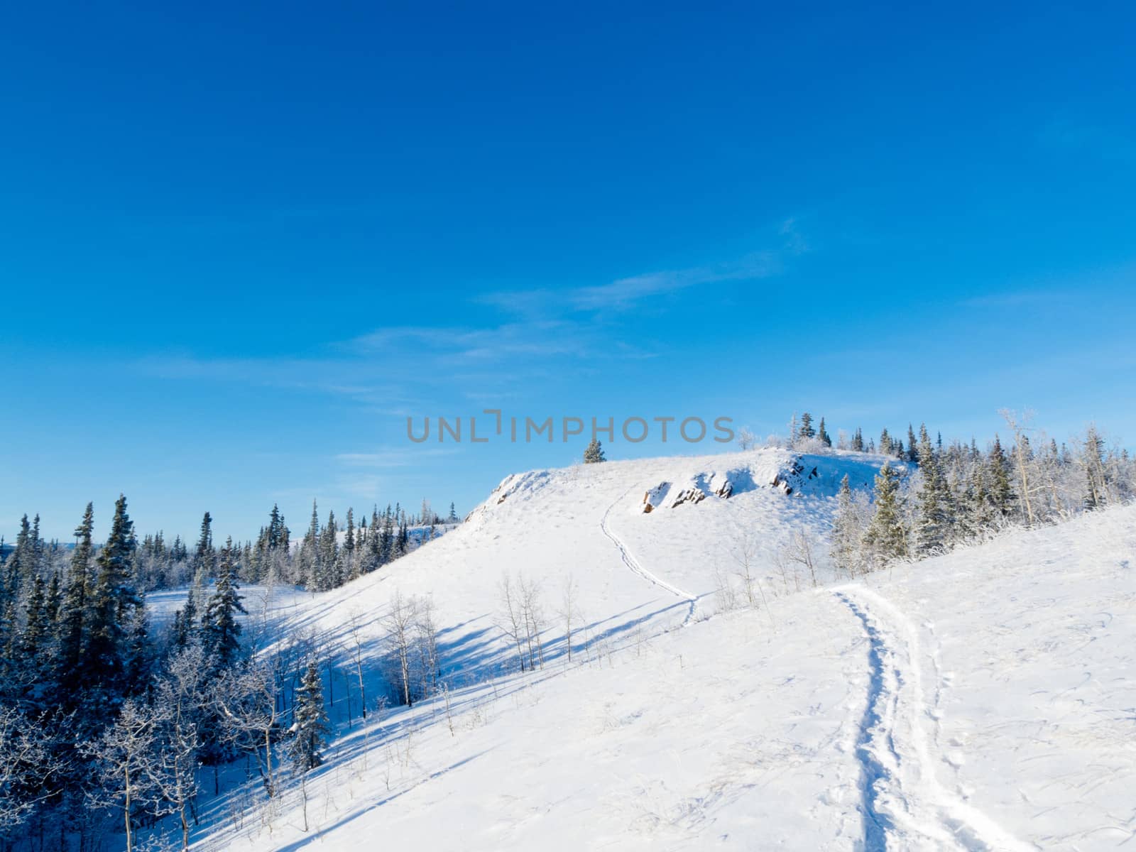 Snow-shoe trail prints in deep powder snow on hills in pristine winter wonderland wilderness