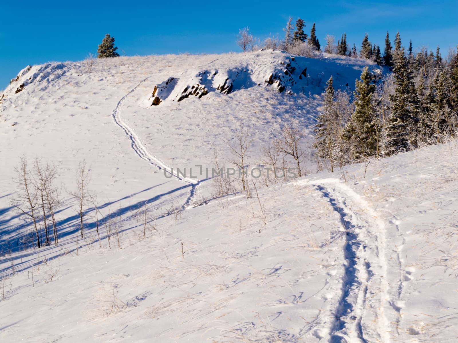 Snowy winter wonderland hills snowshoe track scene by PiLens