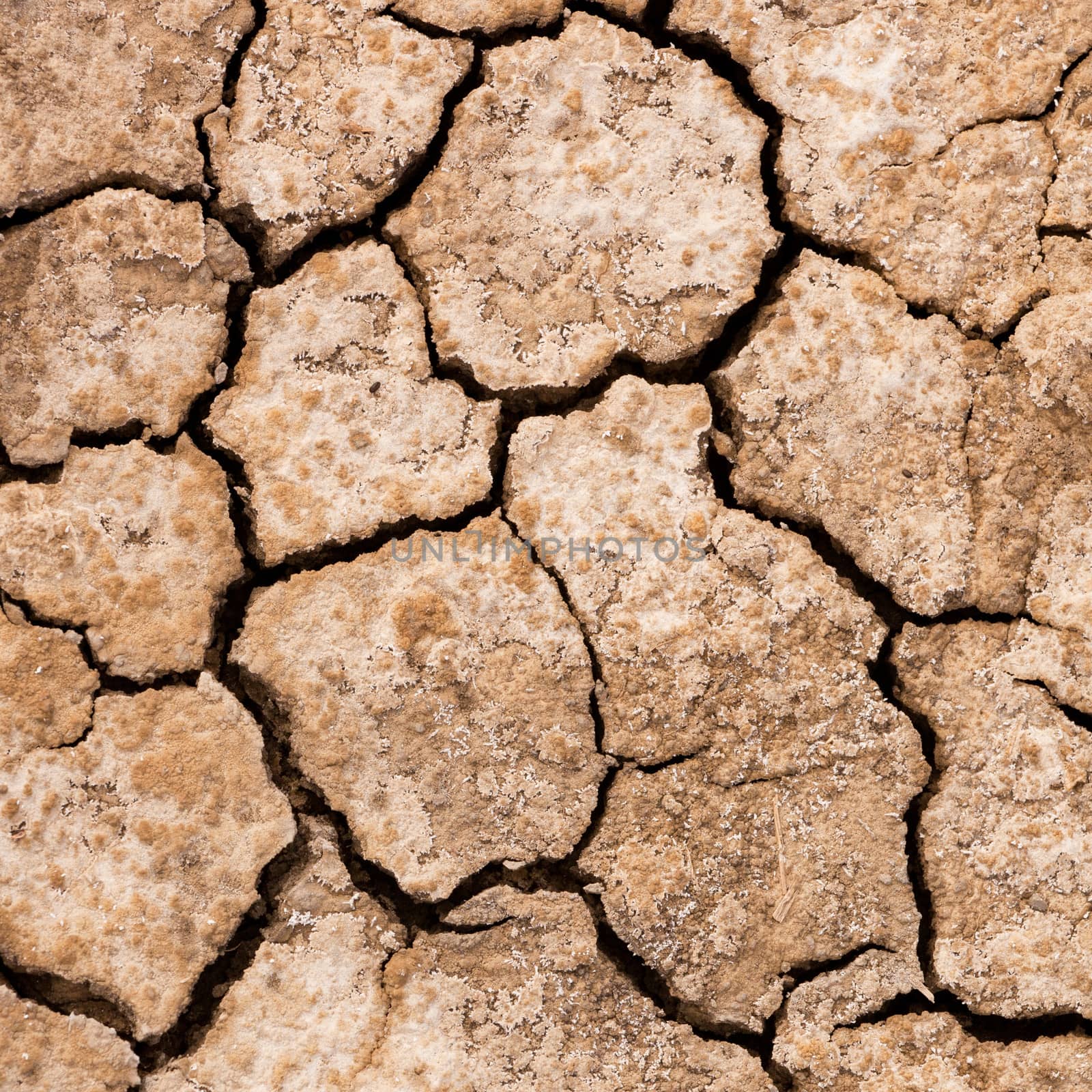 Cracked dry mud drought concept nature background by PiLens
