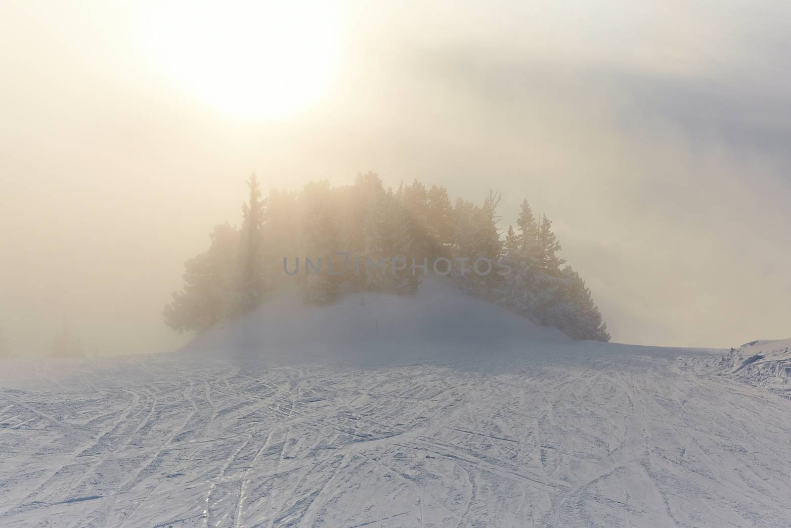 Winter Landscape by Gudella