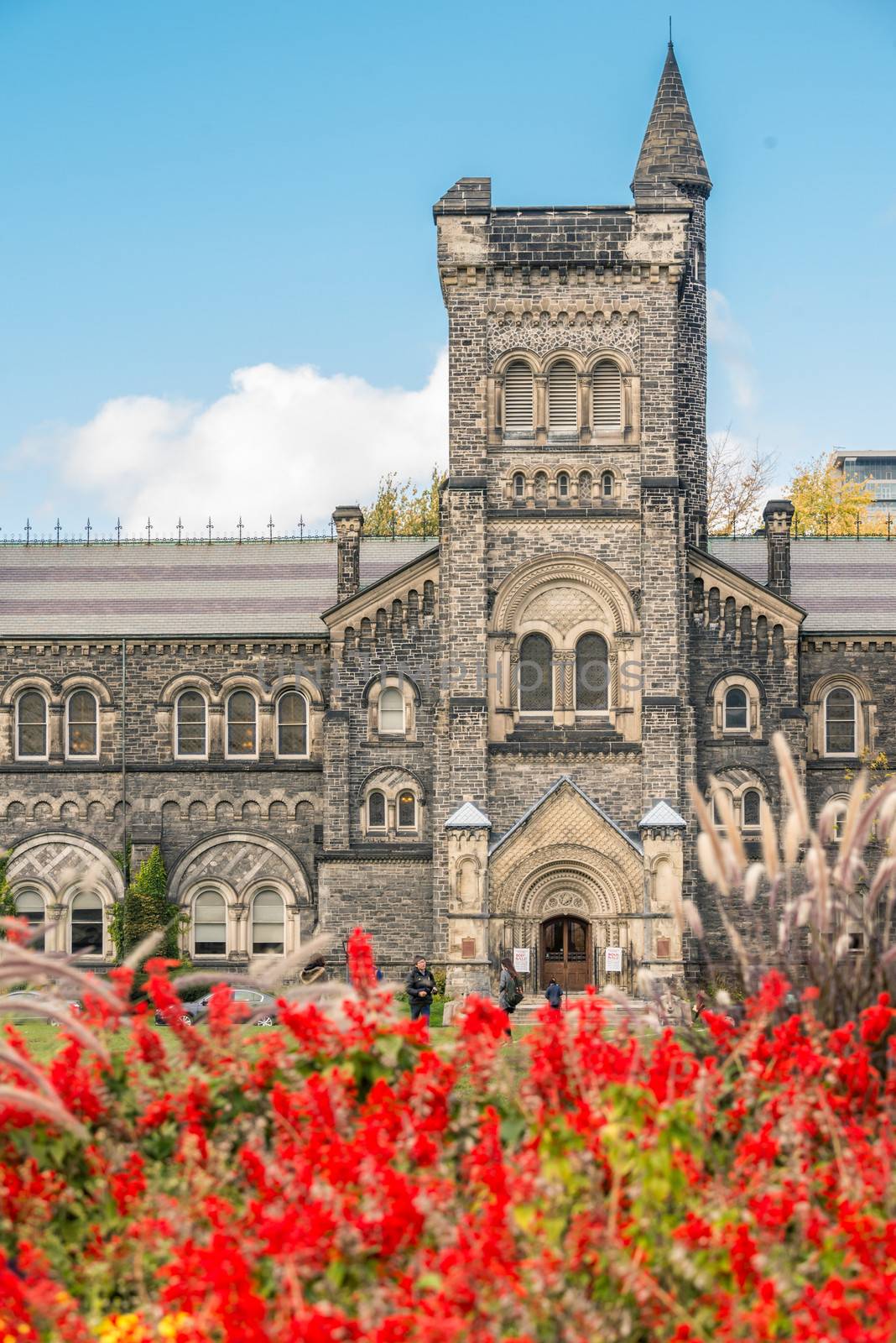 university College at University of Toronto by IVYPHOTOS